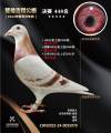 图片暂时未上传