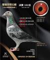 图片暂时未上传