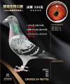 图片暂时未上传