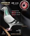 图片暂时未上传