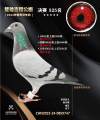 图片暂时未上传