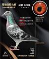 图片暂时未上传