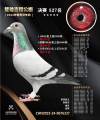 图片暂时未上传
