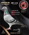 图片暂时未上传