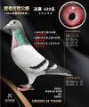 图片暂时未上传
