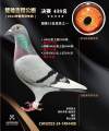 图片暂时未上传