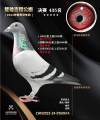 图片暂时未上传