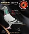 图片暂时未上传