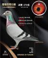 图片暂时未上传
