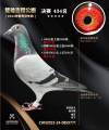 图片暂时未上传