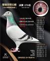 图片暂时未上传