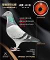 图片暂时未上传