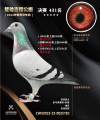 图片暂时未上传