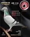 图片暂时未上传