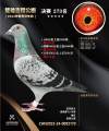 图片暂时未上传