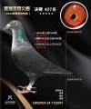 图片暂时未上传