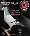 图片暂时未上传