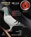 图片暂时未上传