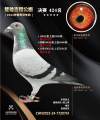 图片暂时未上传
