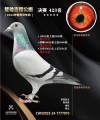 图片暂时未上传