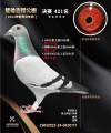 图片暂时未上传