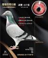 图片暂时未上传
