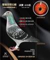图片暂时未上传