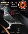 图片暂时未上传