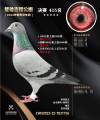 图片暂时未上传