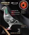 图片暂时未上传