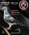图片暂时未上传