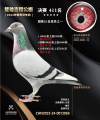 图片暂时未上传