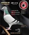 图片暂时未上传
