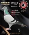 图片暂时未上传
