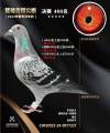 图片暂时未上传