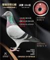 图片暂时未上传