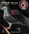 图片暂时未上传