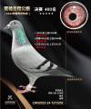 图片暂时未上传