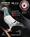 图片暂时未上传