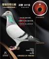 图片暂时未上传