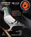 图片暂时未上传