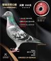 图片暂时未上传