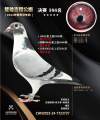 图片暂时未上传