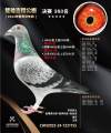 图片暂时未上传