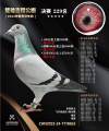 图片暂时未上传
