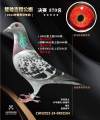 图片暂时未上传