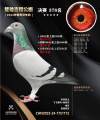 图片暂时未上传