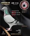 图片暂时未上传
