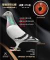 图片暂时未上传