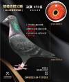 图片暂时未上传